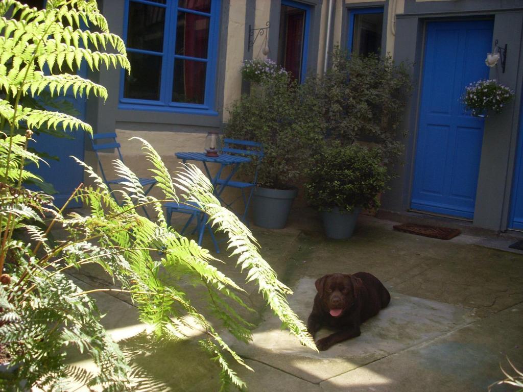 Reglisse Et Pain D'Epices - Chambres D'Hotes Honfleur Zewnętrze zdjęcie